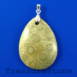Pendant, Coral Fossil, 37x49mm teardrop. Sold individually.