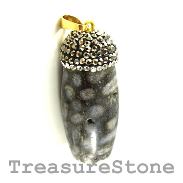 Pendant, coral fossil. 18x40mm. Sold individually.