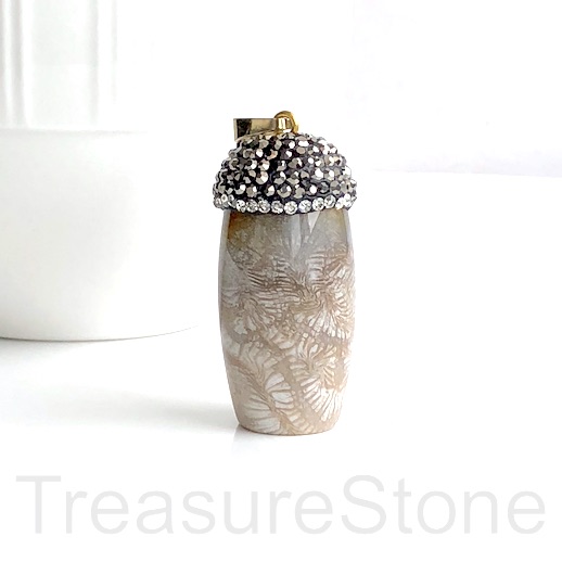 Pendant, coral fossil, black pave top, gold bail. 18x40mm. each