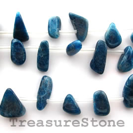 Bead, apatite, 7x13 - 8x18mm top-drilled. Sold per pkg of 19.