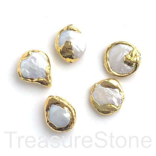 Pearl, freshwater, white, about 21mm coin, gold border. ea