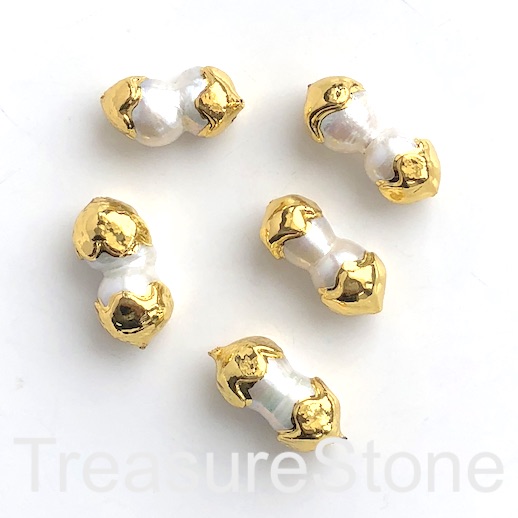 Pearl, freshwater, white, 12x25 mm, gold plated peanut. ea