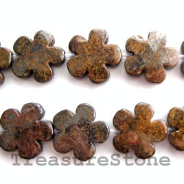 Bead, bronzite, 20mm flat flower. Sold per pkg of 20 beads.