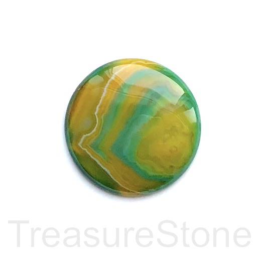 Cabochon, agate (dyed), green yellow, 41mm round. each.