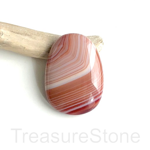 Cabochon, agate (dyed), white, warm brown, 30x42mm. each.