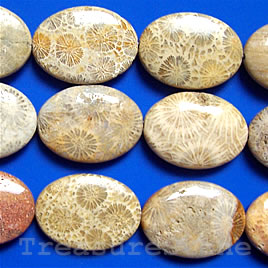 Coral Fossil Beads