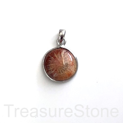 Charm, Pendant, Coral Fossil, 15mm, silver frame. each