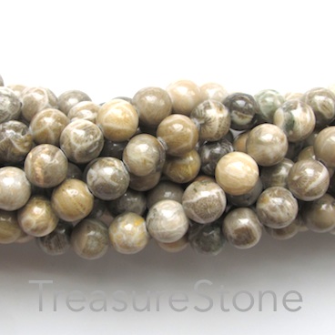 Bead, coral fossil, 8mm round. 15.5-inch strand, 49pcs