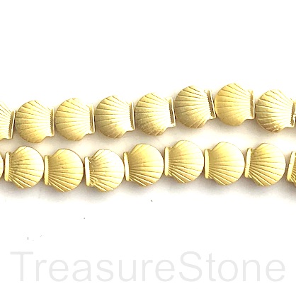 Bead, hematite,manmade,8x9mm shell,brigh gold, matte. 15", 48pcs - Click Image to Close