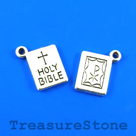 Pendant, silver-finished, 10x13mm "HOLY BIBLE". Pkg of 10.