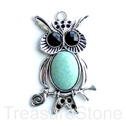 Pendant, dyed turquoise. 40x60mm owl. Each.