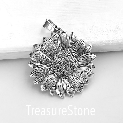 Pendant, silver coloured, 56mm sunflower, each.
