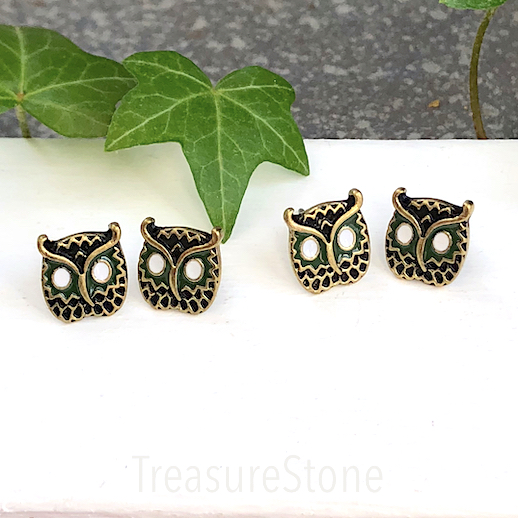 Earring studs, pewter, brass, owl, 10mm. One pair