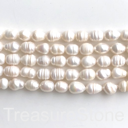 Pearl, freshwater, white, 10-11mm oval. C grade. 14", 29pcs