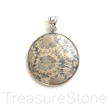 Pendant, Coral Fossil, 28mm, silver frame. Sold individually.