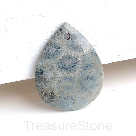 Pendant, Coral Fossil, 37x48mm teardrop. Sold individually.