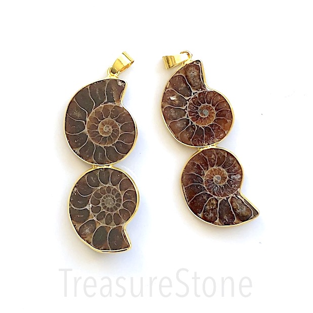 Pendant, double Ammonite Fossil, 23x56mm. Sold individually.