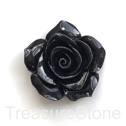 Charm, Pendant, coral (dyed), black, 38mm carved rose flower. ea