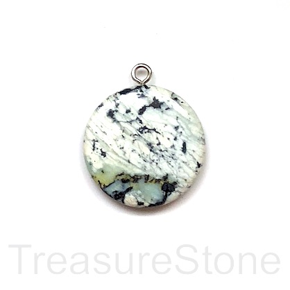 Pendant, jasper, 30mm round coin. Sold individually