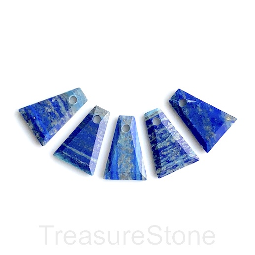 Pendant, lapis lazuli. 17x25mm. Each. - Click Image to Close