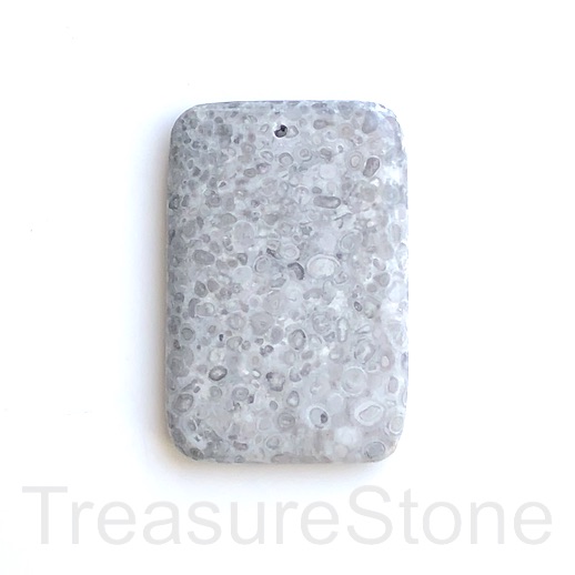 Pendant, medical stone, 40x60mm, each.