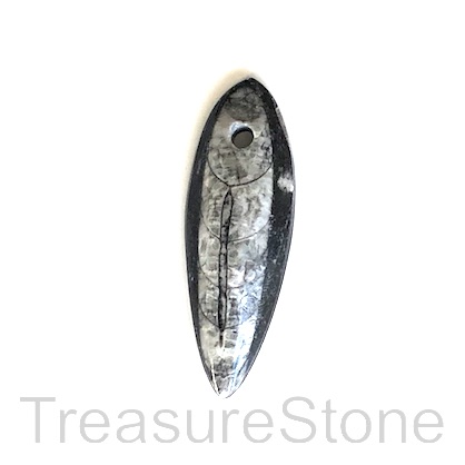Pendant, Orthoceras, 16x49mm. Sold individually.