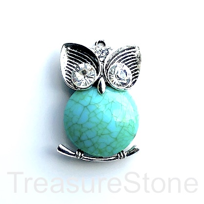 Pendant, dyed turquoise. 33x58mm owl. Each.