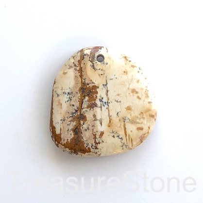 Pendant, picture jasper. 38mm. Sold individually.