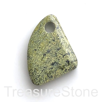Pendant, green serpentine, 35x50mm. Sold individually.