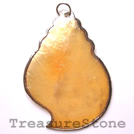 Pendant, shell, 40x57mm shell. Sold individually.