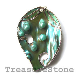 Pendant, shell,40x60mm. Sold individually. - Click Image to Close