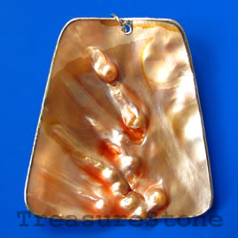 Pendant, shell, 60x68mm. Sold individually. - Click Image to Close