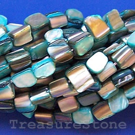 Bead, shell, turquoise chip (dyed). Sold per 15.5-inch strand.