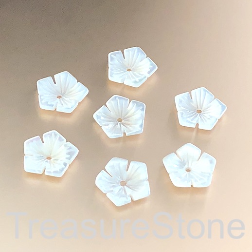 A Bead, button, white shell, MOP, 12mm carved flower 2. each