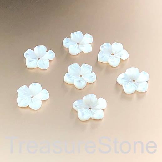 A Bead, button, white shell, MOP, 12mm carved flower 3. each
