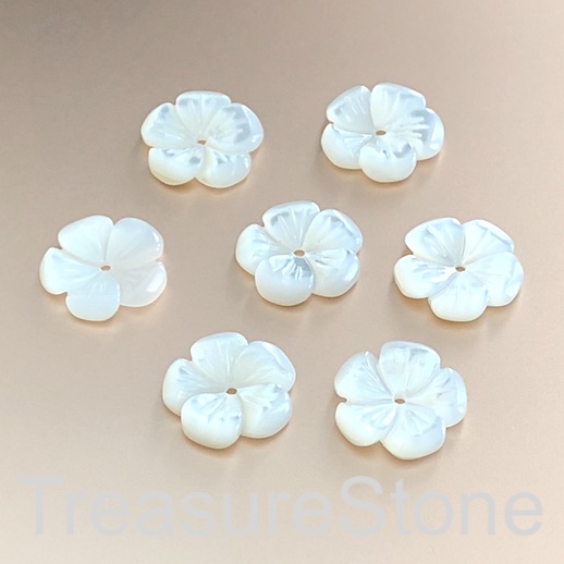A Bead, button, white shell, MOP, 12mm carved flower 4. each