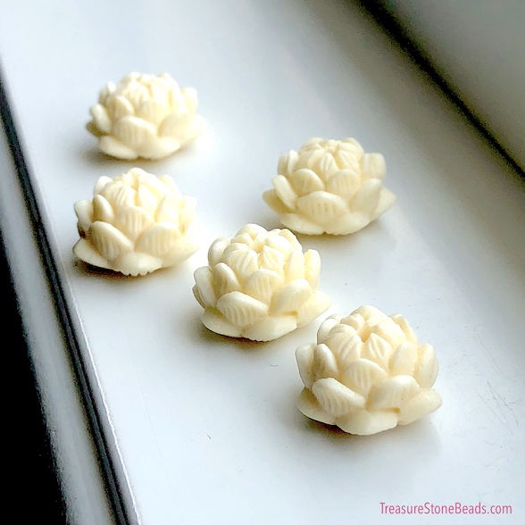 Corozo Nut beads