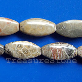 Bead, coral fossil, 11x21mm flat oval. 16-inch strand.